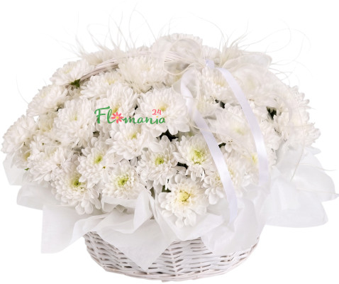 Корзина с белыми хризантемами «Снежная королева»